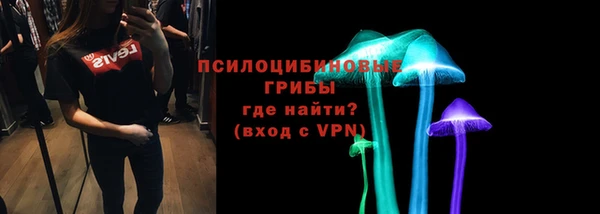 mix Ельня
